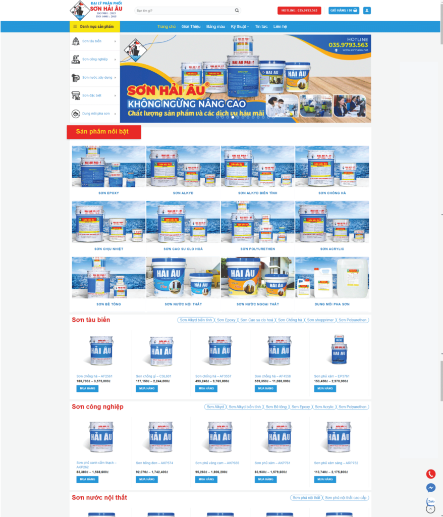thiet ke web ban son