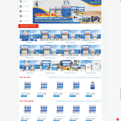 thiet ke web ban son